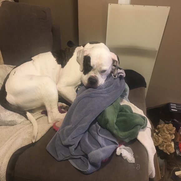 Meet your Posher, Ashley - Picture 1 of 1